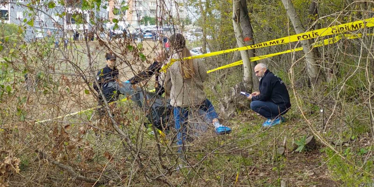 Samsun’da 5 gündür kayıp kadın ormanda ölü bulundu