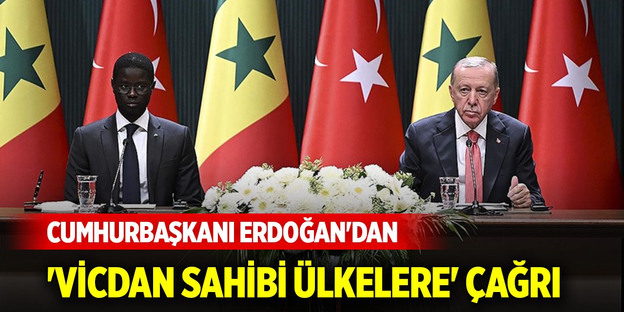 Cumhurbaşkanı Erdoğan'dan 'vicdan sahibi ülkelere' çağrı