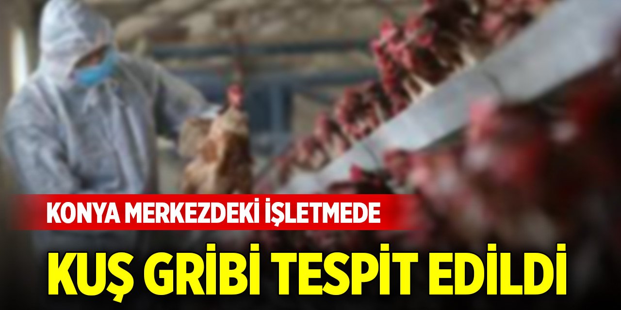 Konya merkezdeki işletmede 'kuş gribi' tespit edildi!