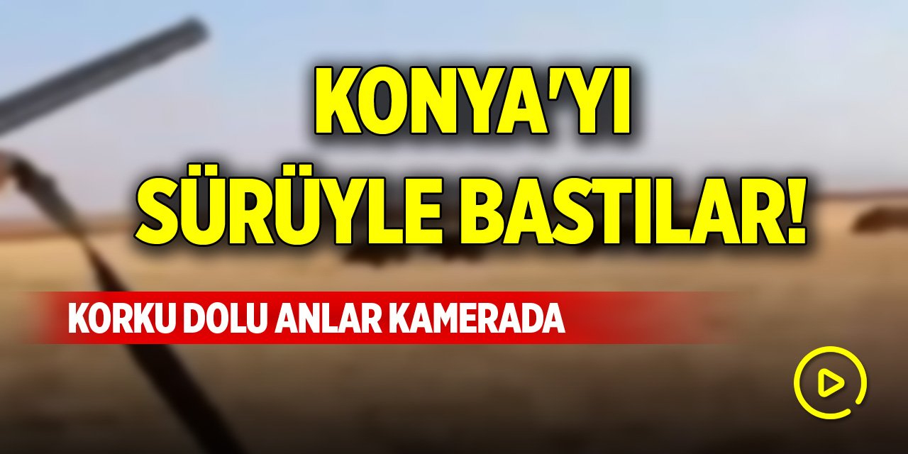 Konya'yı sürüyle bastılar! Korku dolu anlar kamerada