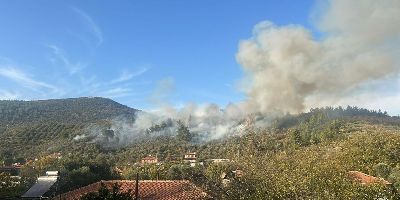 Muğla’da orman yangını