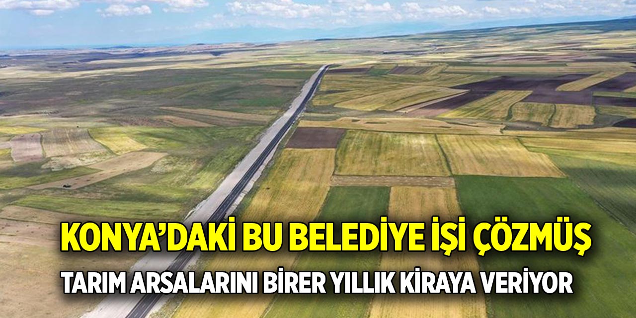 Konya’daki bu belediye işi çözmüş  Tarım arsalarını birer yıllık kiraya veriyor