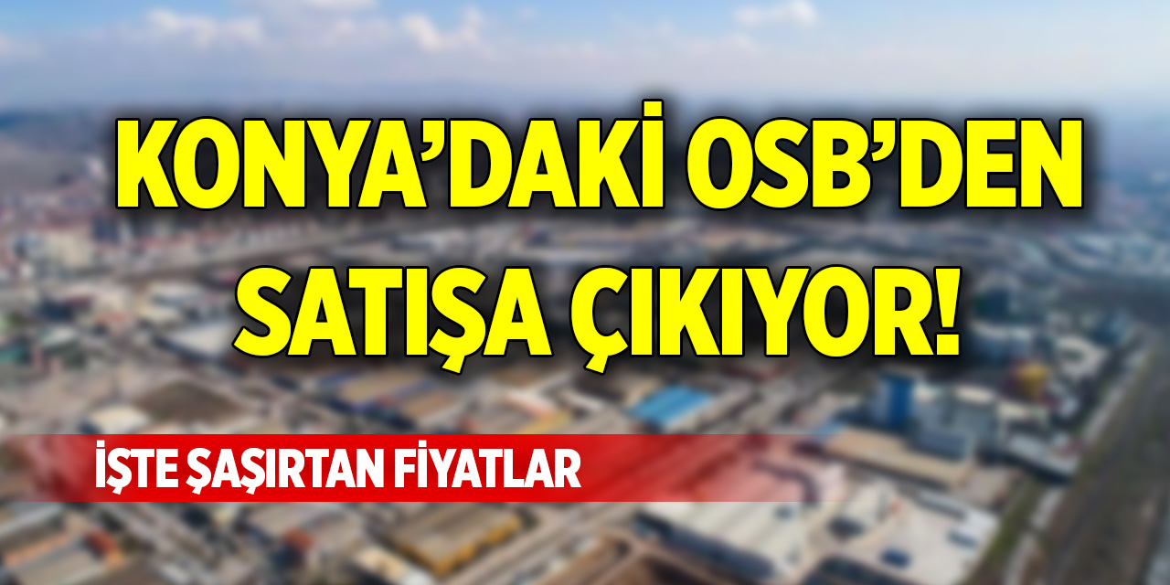 Konya’daki OSB'den satışa çıkıyor! İşte şaşırtan fiyatlar