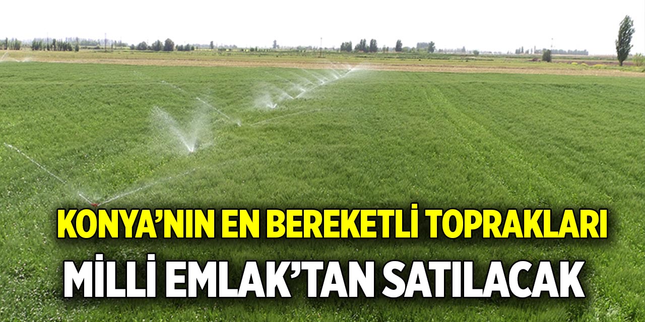 Konya’nın en bereketli toprakları  Milli Emlak’tan satılacak