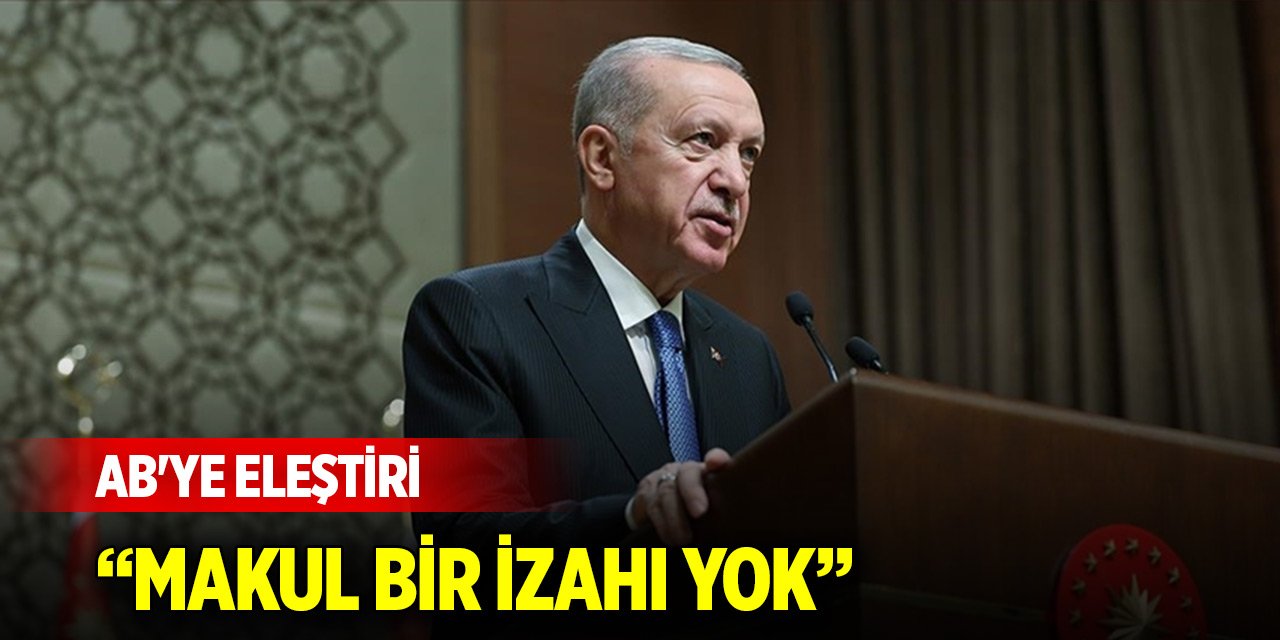 Cumhurbaşkanı Erdoğan'dan AB'ye eleştiri: Makul bir izahı yok