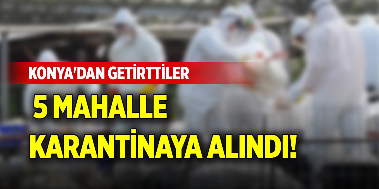 Konya'dan getirttiler, 5 mahalle karantinaya alındı!