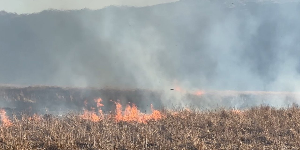 Onlarca kuş türünün yaşadığı Nehil Sazlığı yanıyor