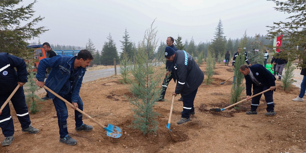 Konya Sille’de fidanlar toprakla buluştu