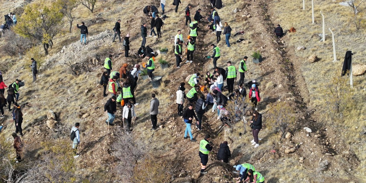 Konyalı üniversiteli gençler fidanları toprakla buluşturdu