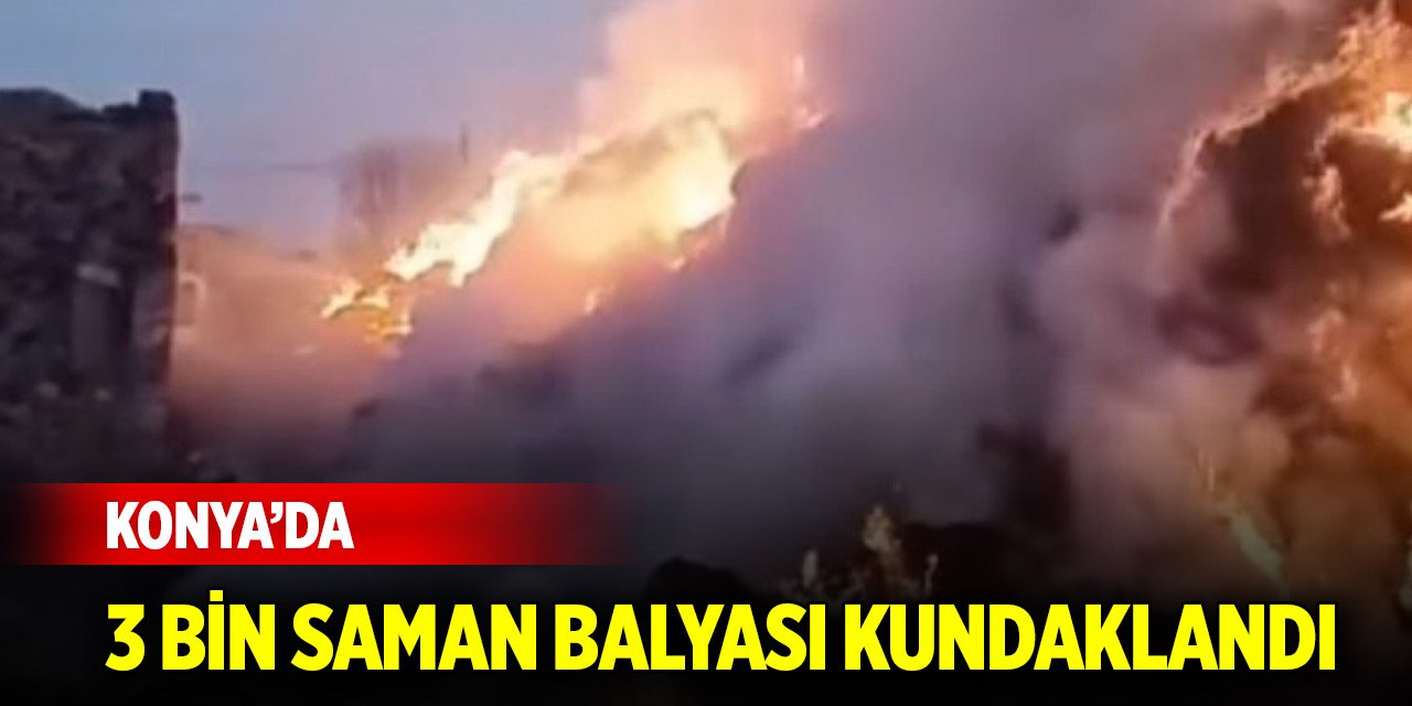 Konya’da 3 bin saman balyası kundaklandı