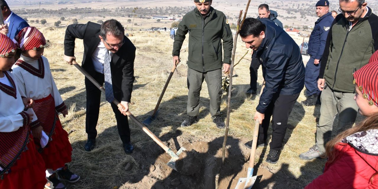 Karapınar Yeşilyurt’ta 500 adet ceviz fidanlığı oluşturuldu