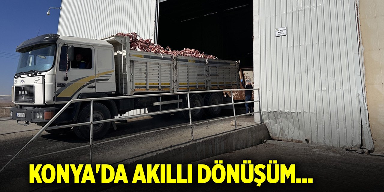 Konya'da akıllı dönüşüm... Hayvan kemikleri bakın ne işe yarıyor