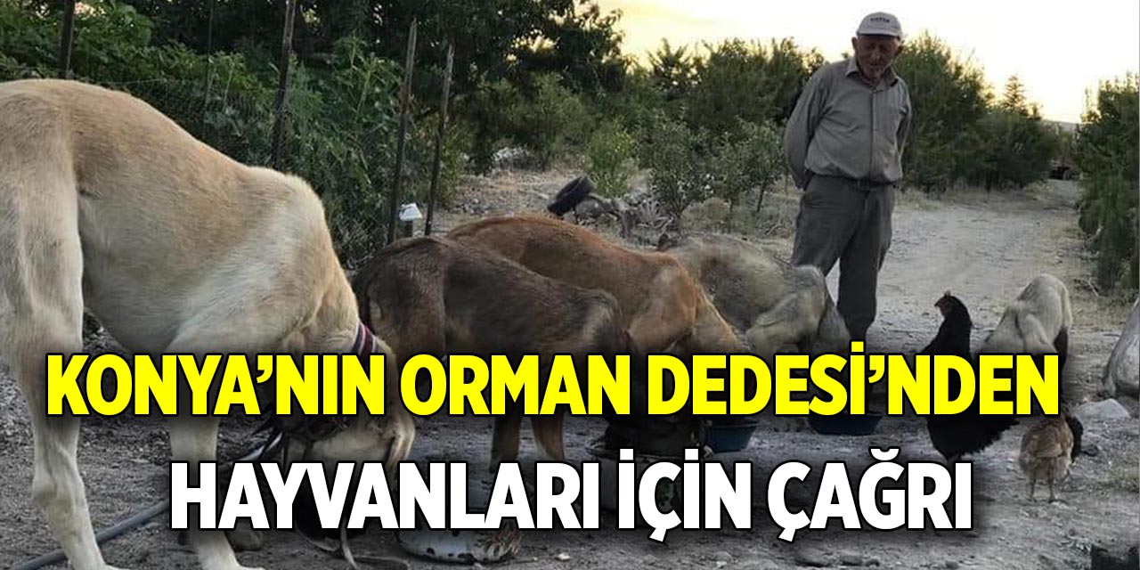 Konya’nın Orman Dedesi’nden  Hayvanları için çağır