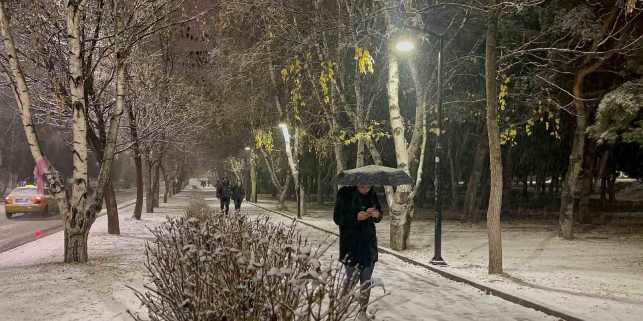 Erzurum’da kar yağışı etkili oluyor