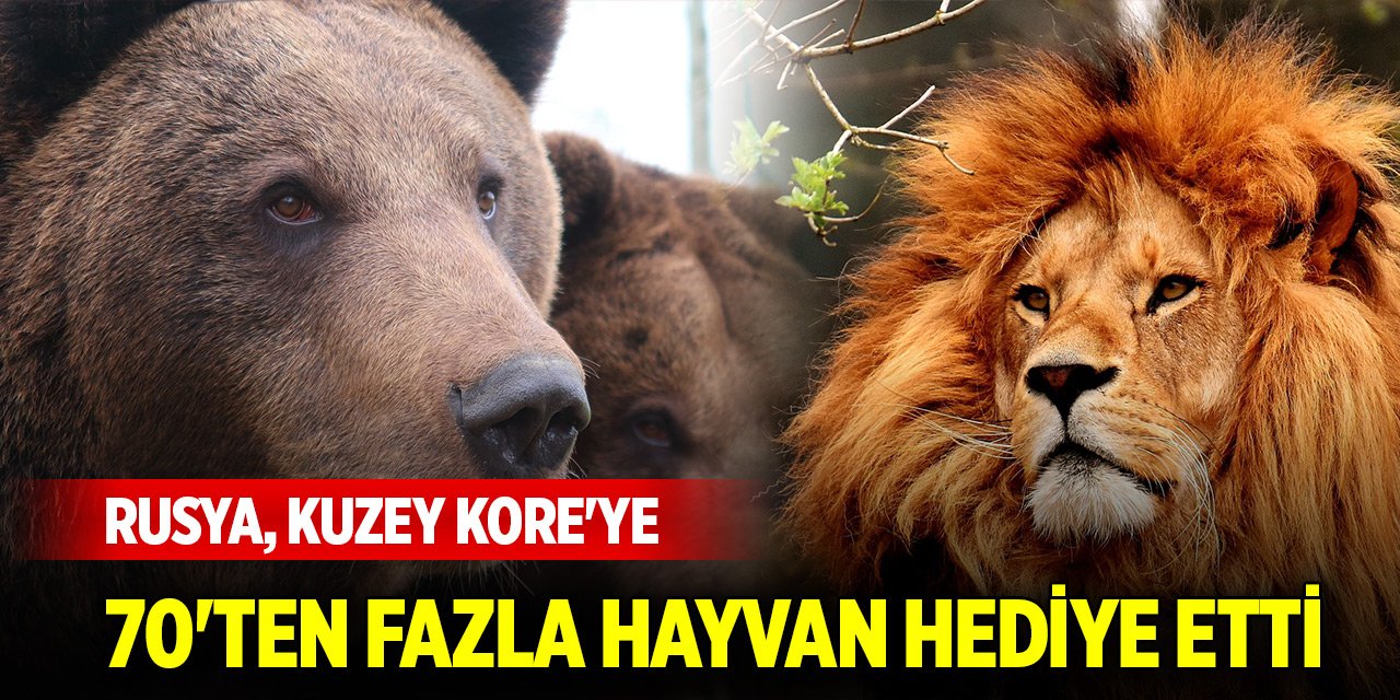 Rusya, Kuzey Kore'ye 70'ten fazla hayvan hediye etti