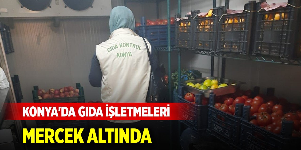 Konya'da gıda işletmeleri mercek altında