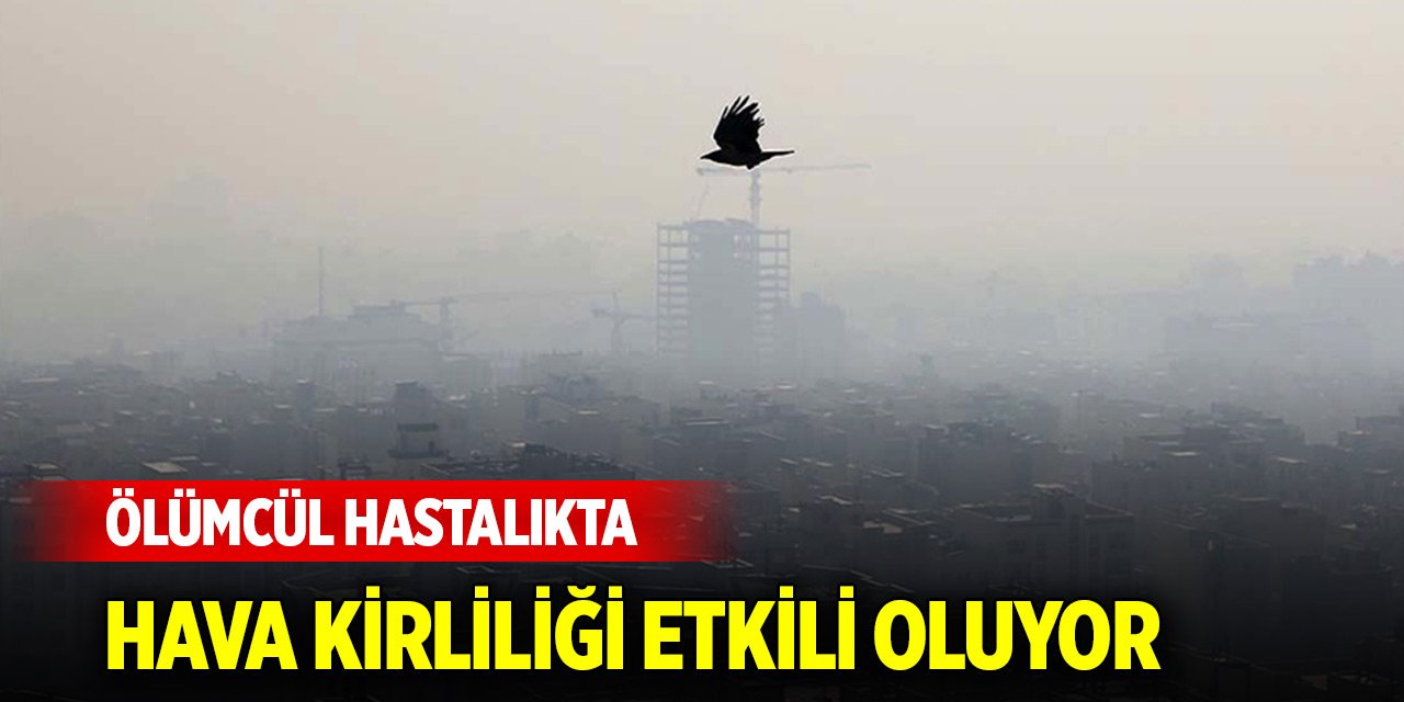 Hava kirliliği tetikliyor... Her yıl üç milyon insanın ölümüne yol açıyor