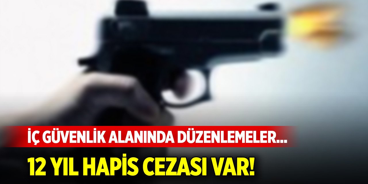 Silah taşımayla ilgili düzenlemeler içeren kanun Resmi Gazete'de! Bunu yapana hapis cezası var