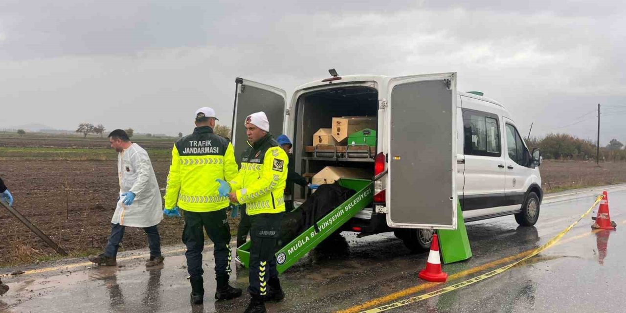 Yol kenarında ceset bulundu! Kimliği belirlendi