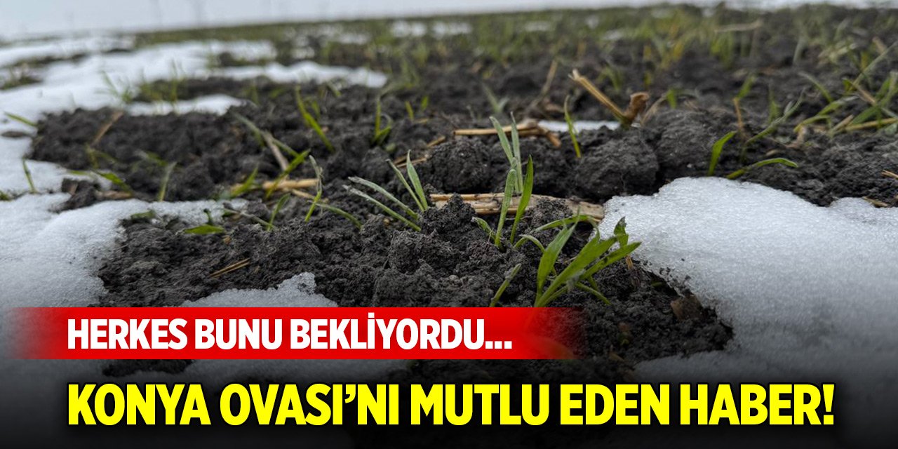 Herkes bunu bekliyordu... Konya Ovası’nı mutlu eden haber!