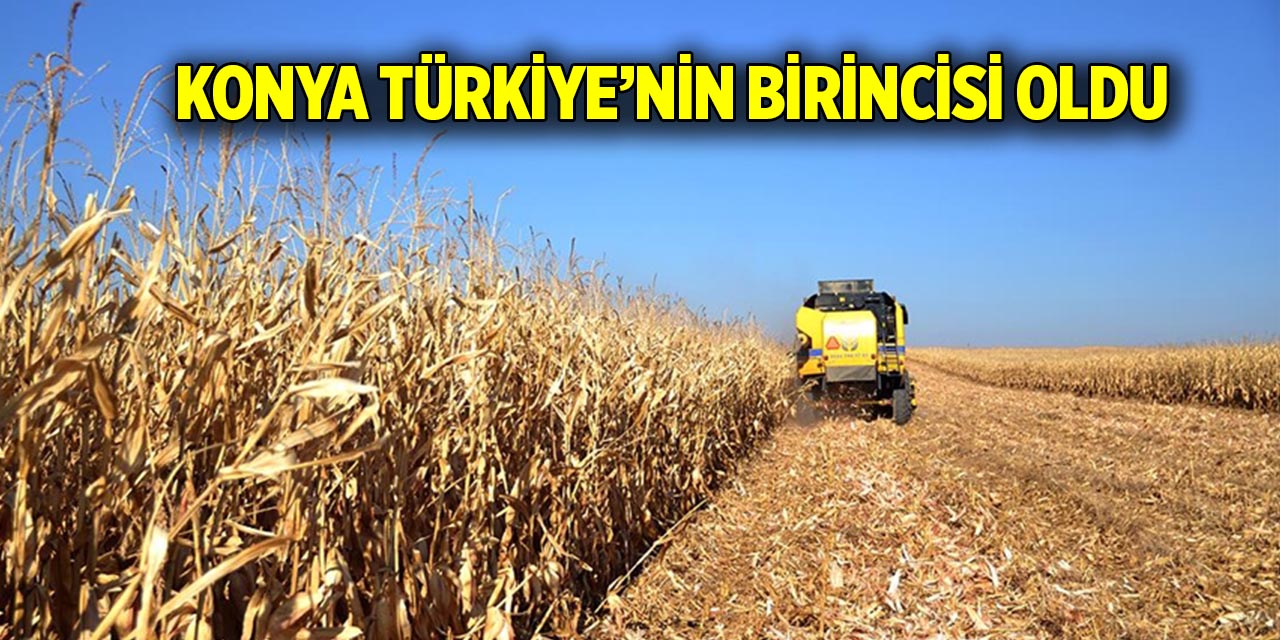 Konya Türkiye’nin birincisi oldu