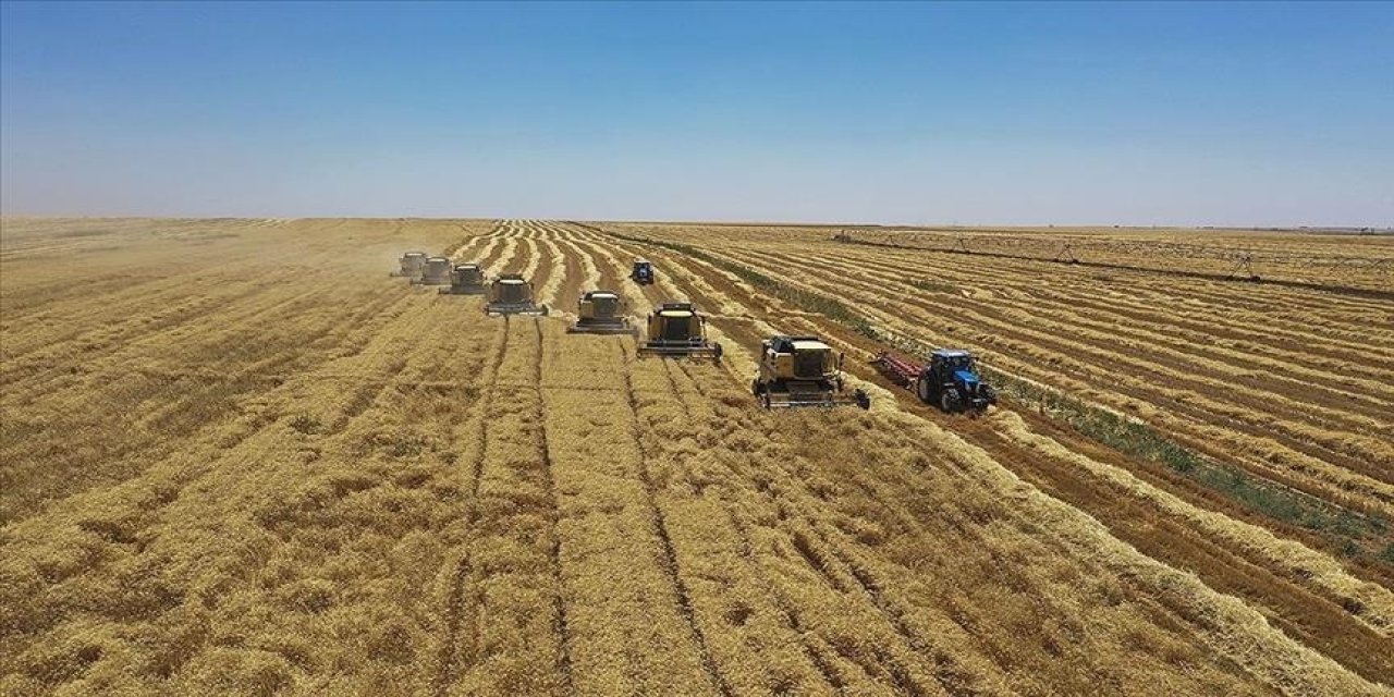 Üretim planlaması hububat üretimini olumlu etkileyecek