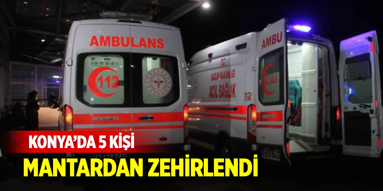 Konya’da mantardan zehirlenen 5 kişi hastanelik oldu