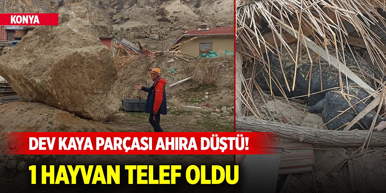 Konya'da dev kaya parçası ahıra düştü! 1 hayvan telef oldu