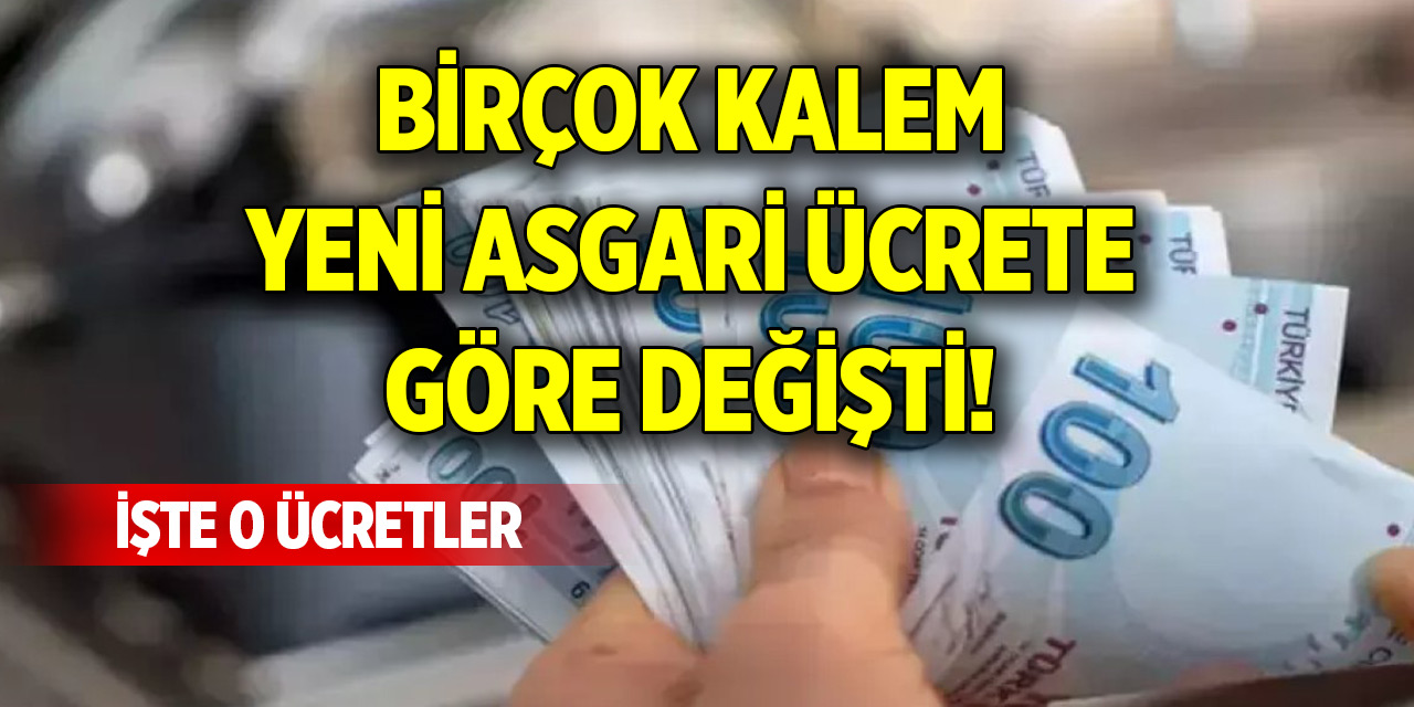 Birçok kalem yeni asgari ücrete göre değişti! İşte o ücretler