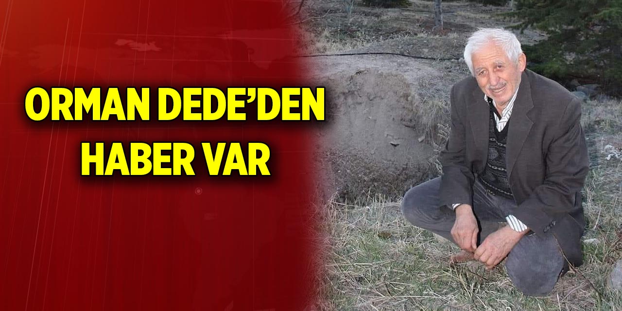 Orman Dede’den haber var