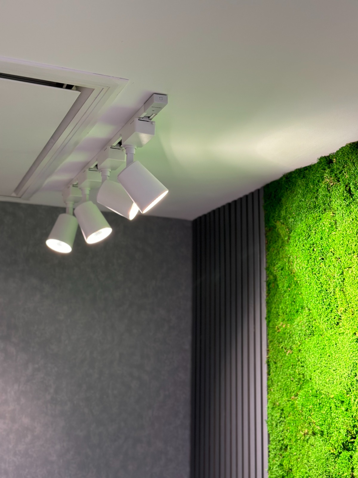 Ray spot amacı ve işlevi