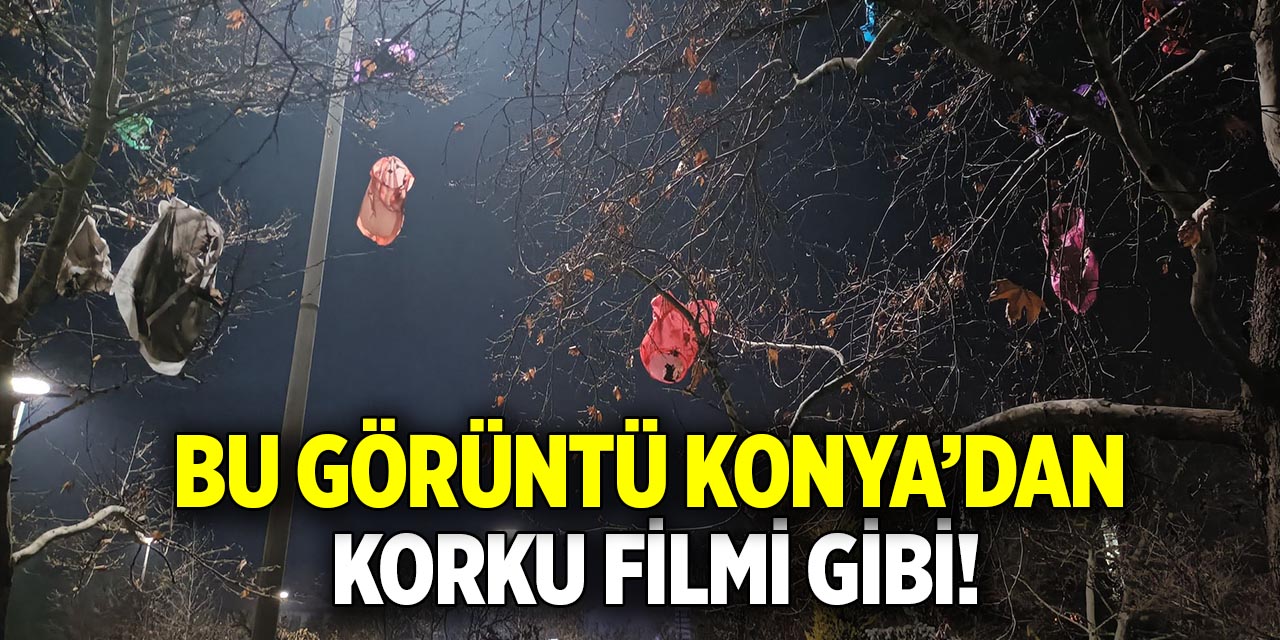 Konya’da korku filmlerini andıran görüntü