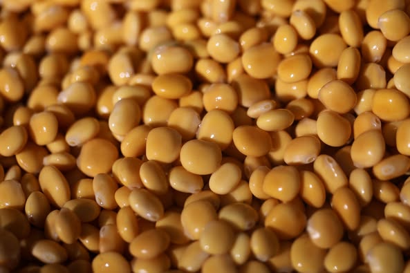 En çok konya’da üretildi  Konya’nın markası oldu