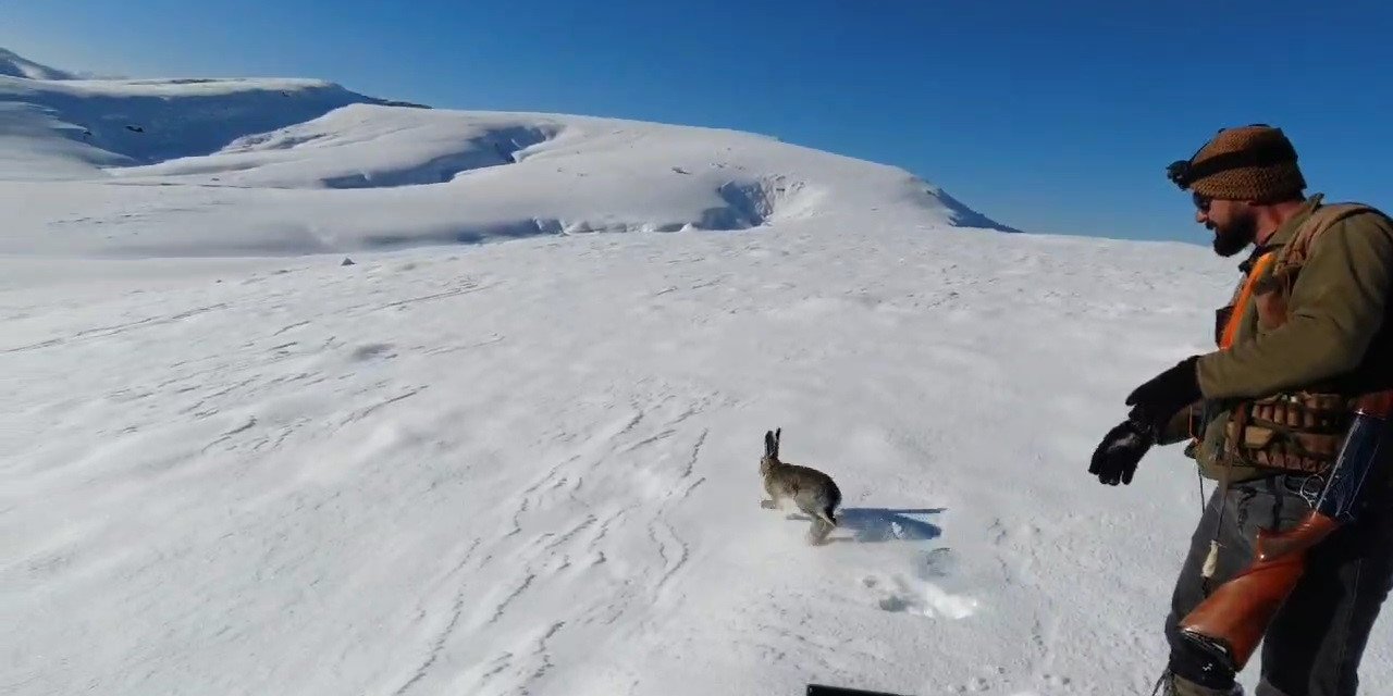 Konya'da avcılar yakaladı! Farkındalık için doğaya geri bırakıldı