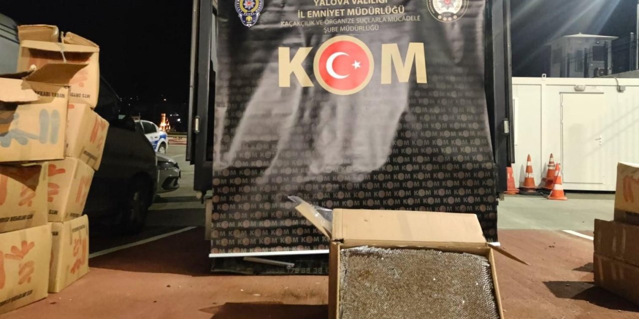 Yalova'da 3 milyon adet dolu makaron ele geçirildi