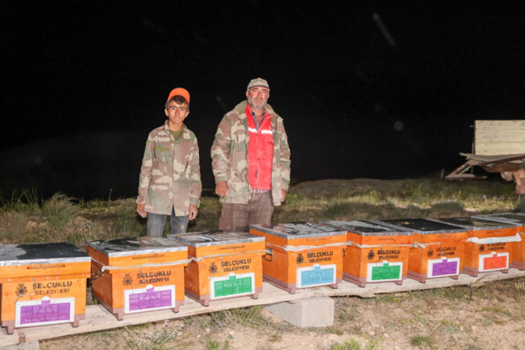 Konya’daki belediye arı satın alacak