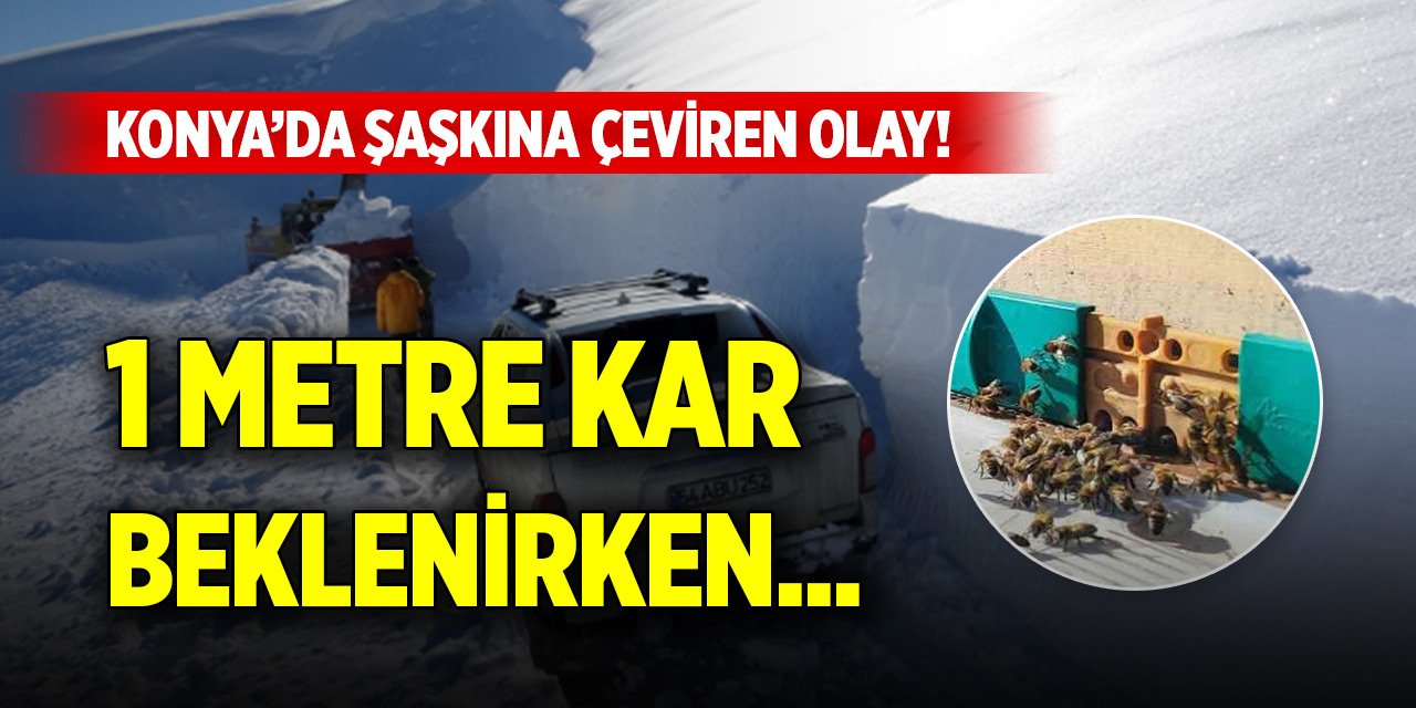 Konya’da şaşkına çeviren olay! 1 metre kar beklenirken...