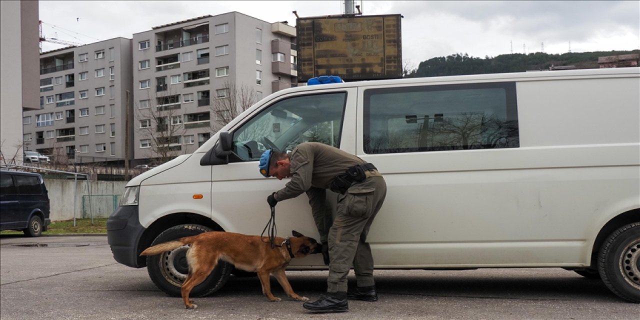 Policijski pas Rea najbolji tragač za eksplozivom u BiH