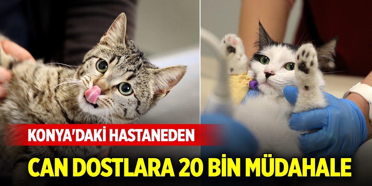 Konya'daki hastaneden can dostlara 20 bin müdahale