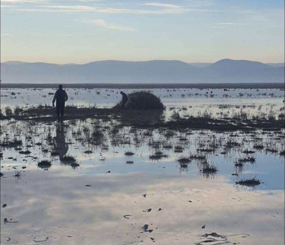 Konya’da kaçak avcıya şok ceza