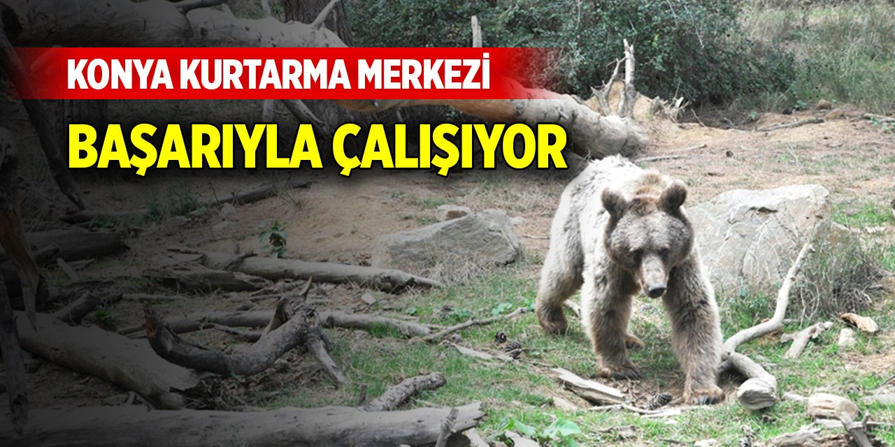 Konya Kurtarma Merkezi başarıyla çalışıyor