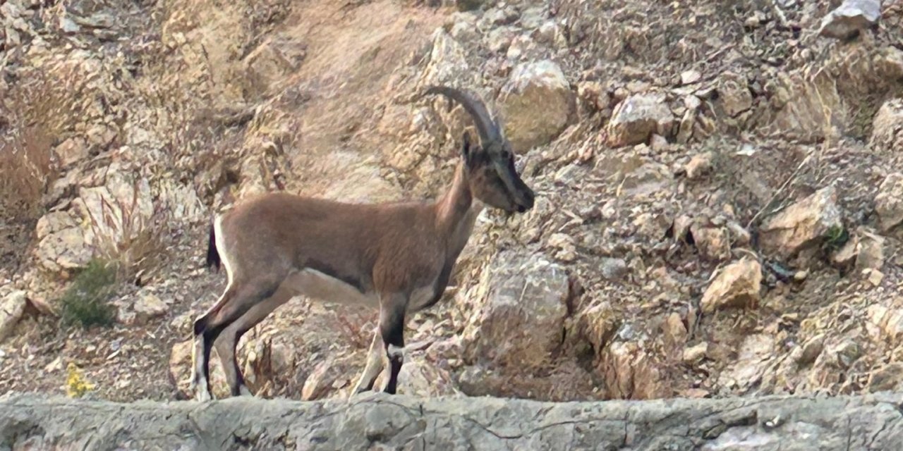 Pes dedirten yalana 660 bin TL ceza