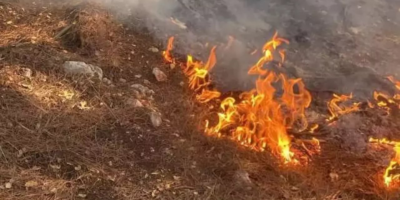 Osmaniye’de orman yangını