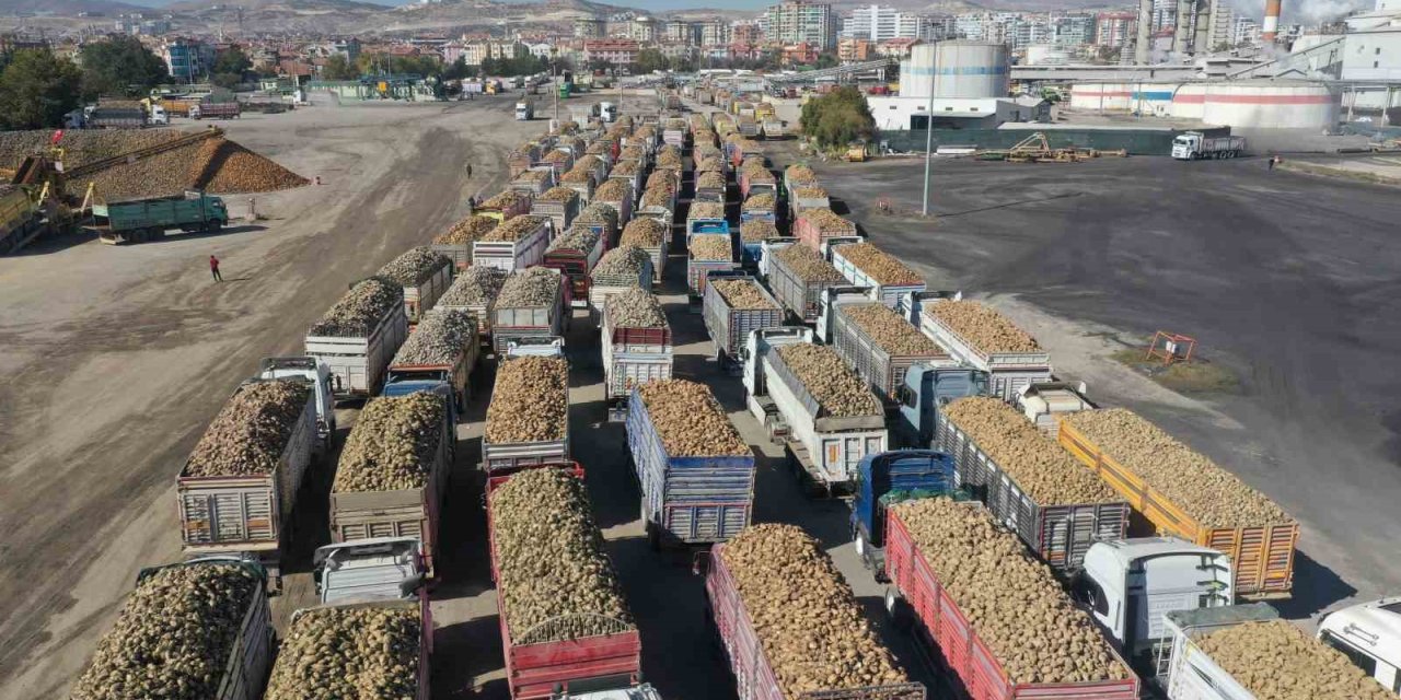 Şeker pancarı alım fiyatı belli oldu