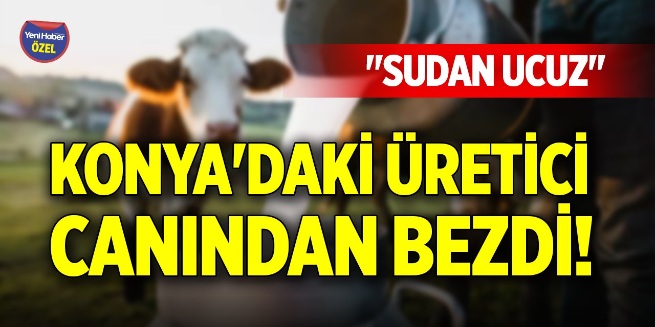 Konya'daki üretici canından bezdi! "Sudan ucuz"