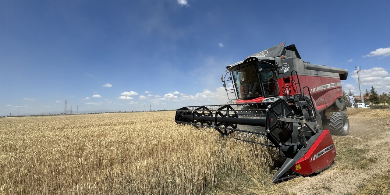 Konya’da hububat üretimi risk altında