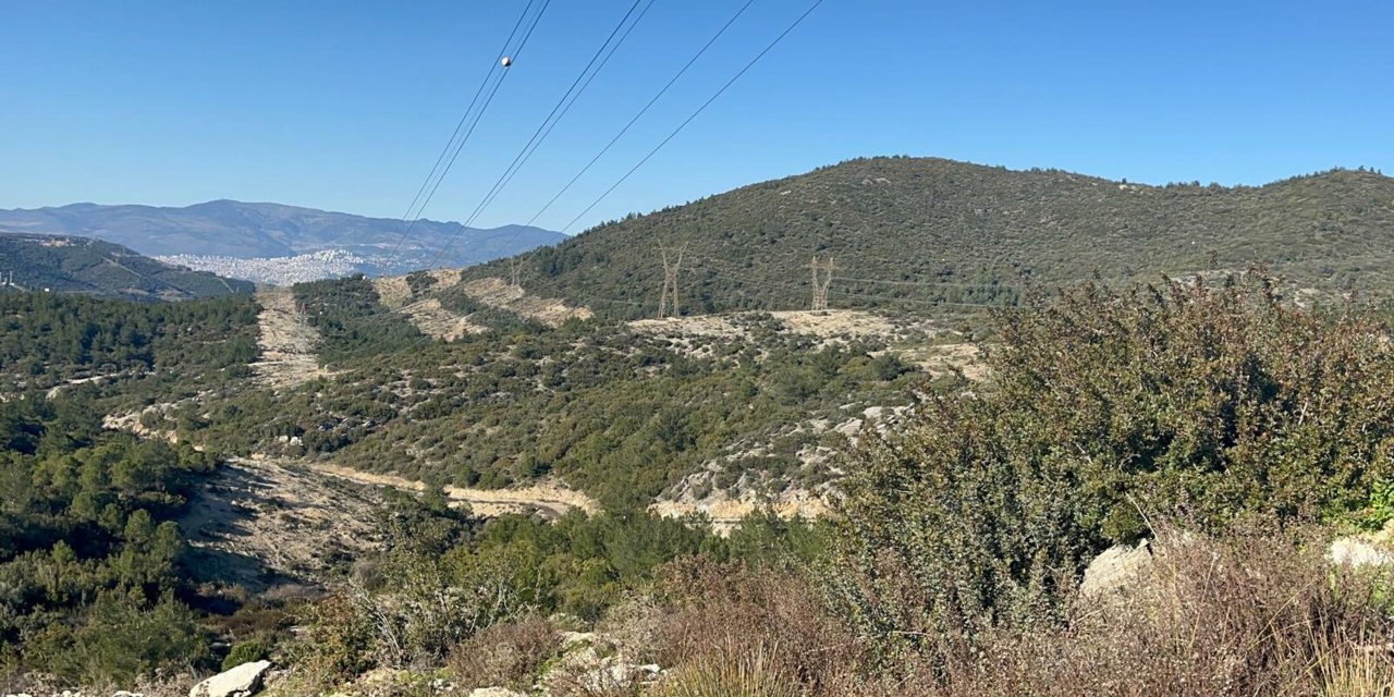 Kazara 12 yaşındaki oğlunu öldürdü