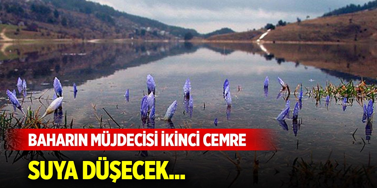 Baharın müjdecisi ikinci cemre suya düşecek...