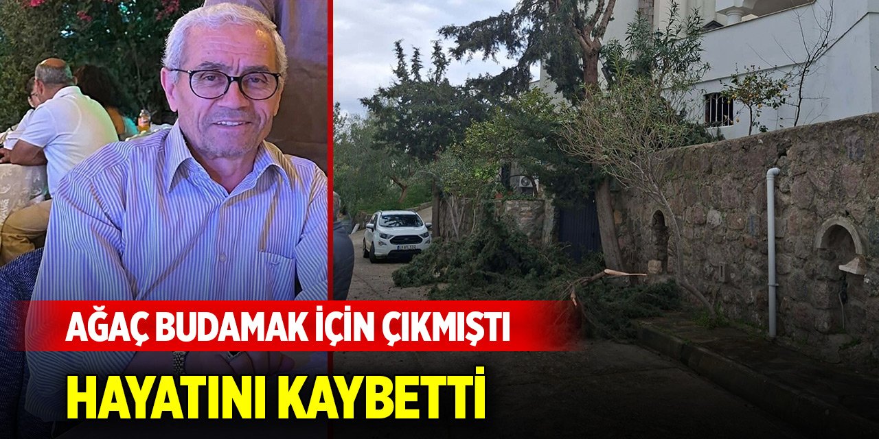 Ağaç budamak için çıktığı duvardan düşüp öldü... O isim tutuklandı!
