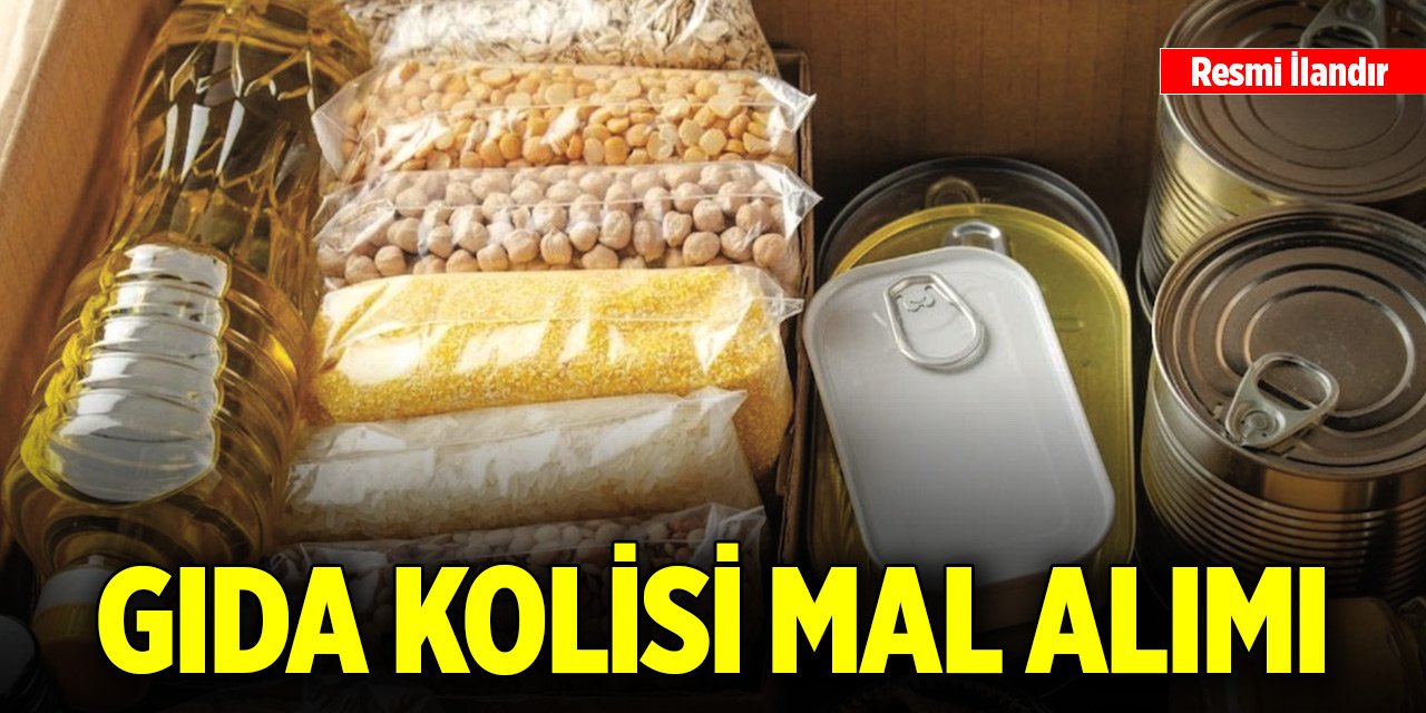 2000 adet gıda kolisi mal alımı